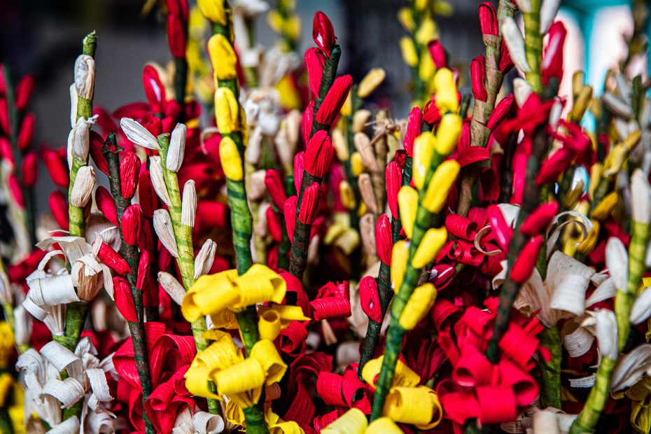 colorful flowers of red, yellow, and white